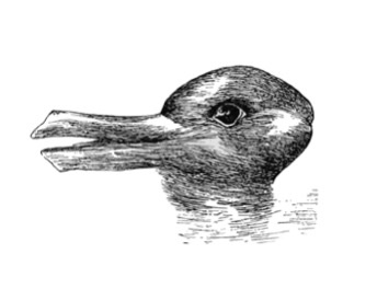 Visual Illusions: Can you believe your own eyes?